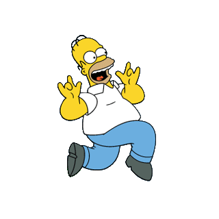 Running Homer
